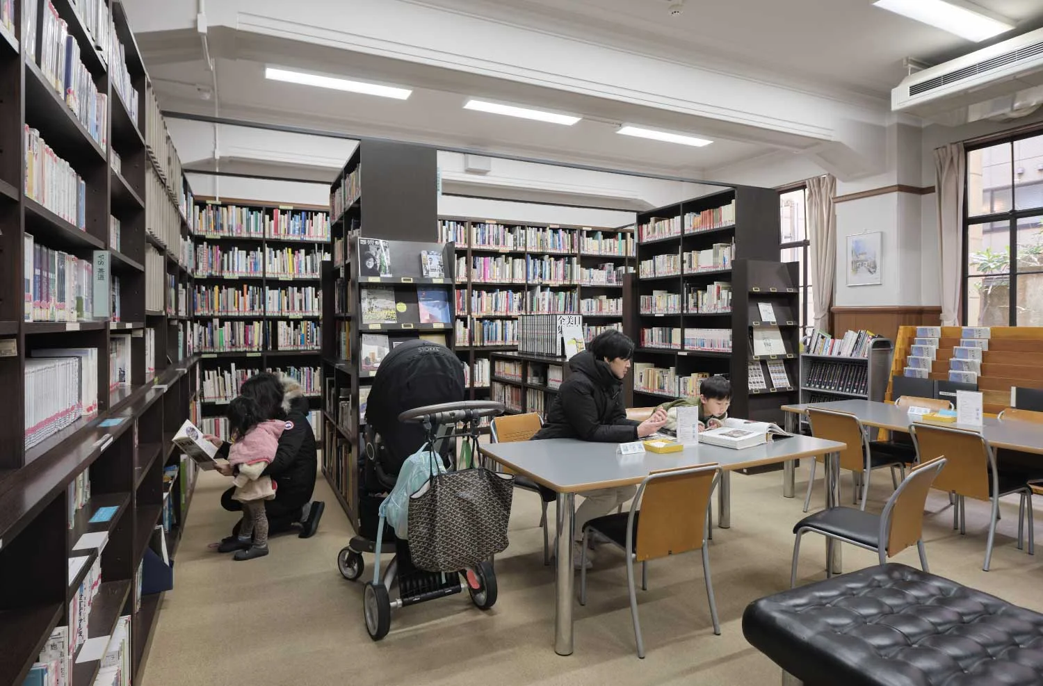 About the Library