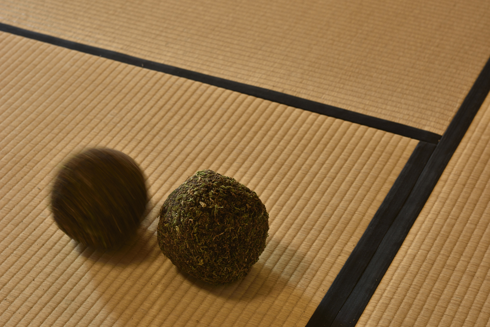 三原聡一郎展　『空白に満ちた世界』　関連企画トーク　三原聡一郎×渡邉一哉
