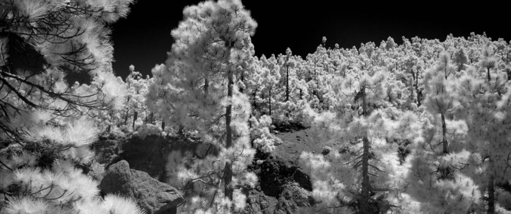 ニュイ・ブランシュ2020KYOTO ル・フレノワ映像展「空のむこうに‐宇宙の超現実‐」(Au-delà de notre  ciel –  Surréalité  du Cosmos- )