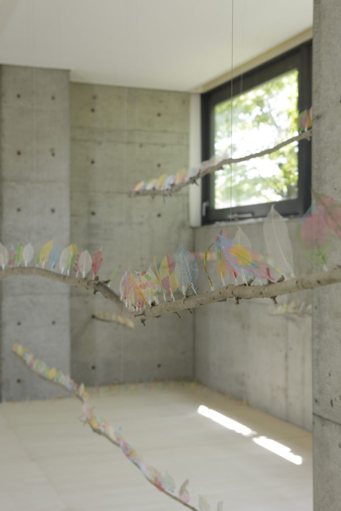 夏休み企画展『dreamscape ─ うたかたの扉』関連企画／公開制作