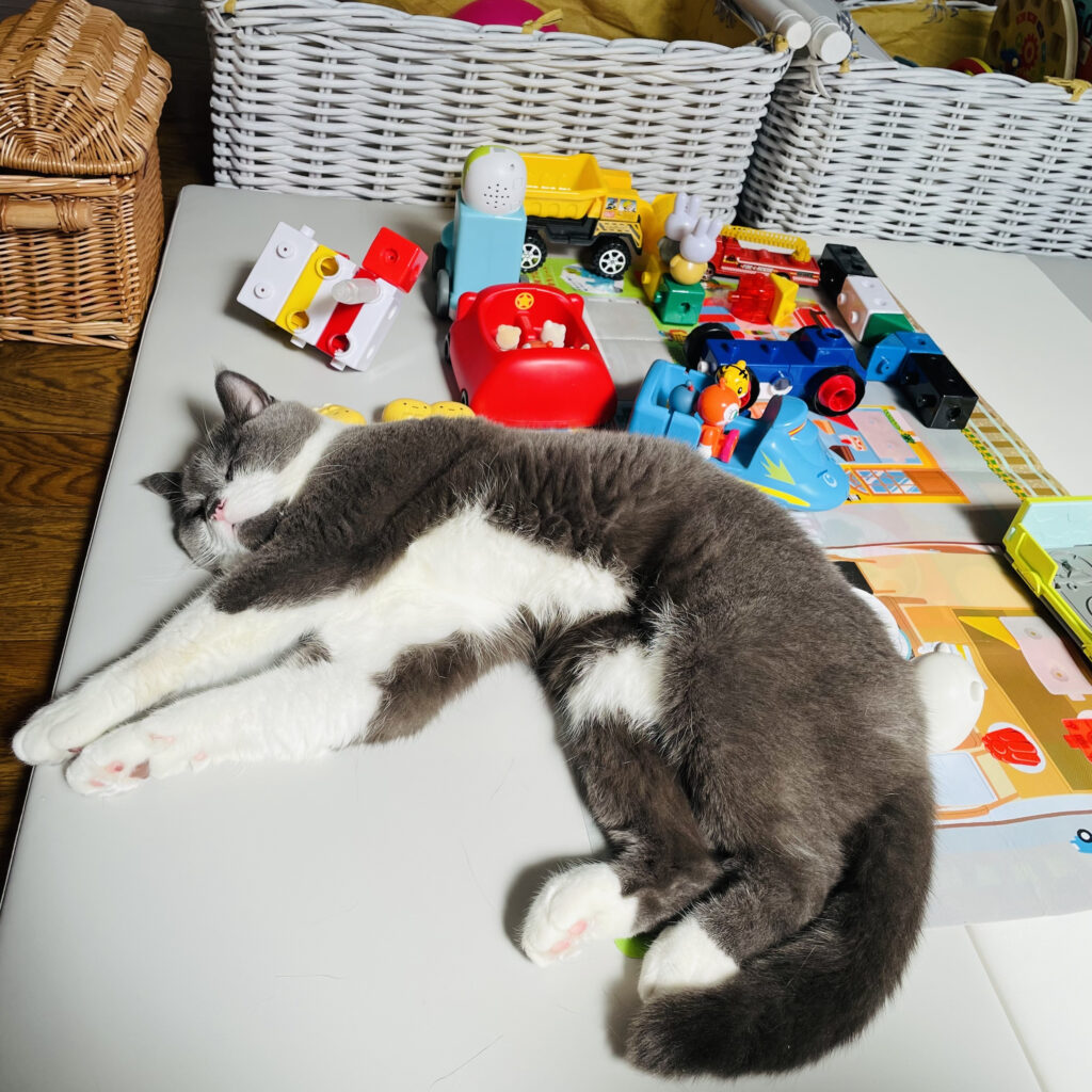 FOCUS＃7 Projects by Koki Tanaka  ≪No Time to Sleep / Time to Sleep≫